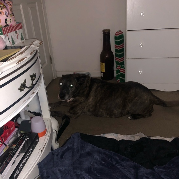 End of duty 6/12/24 - Picture 7 of 15